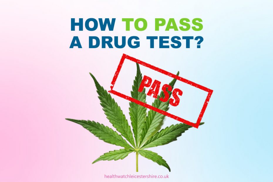 How To Pass a Drug Test