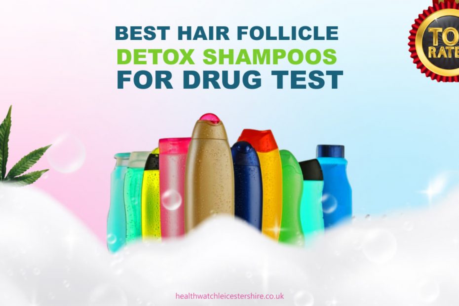 Best Hair Follicle Detox Shampoos