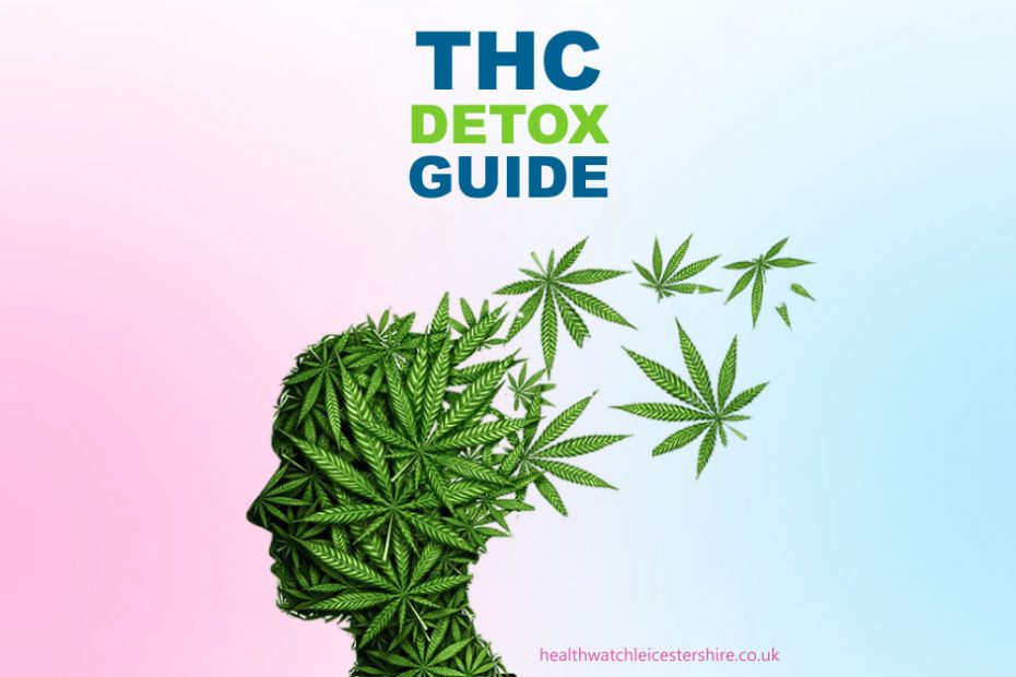 THC Detox Guide