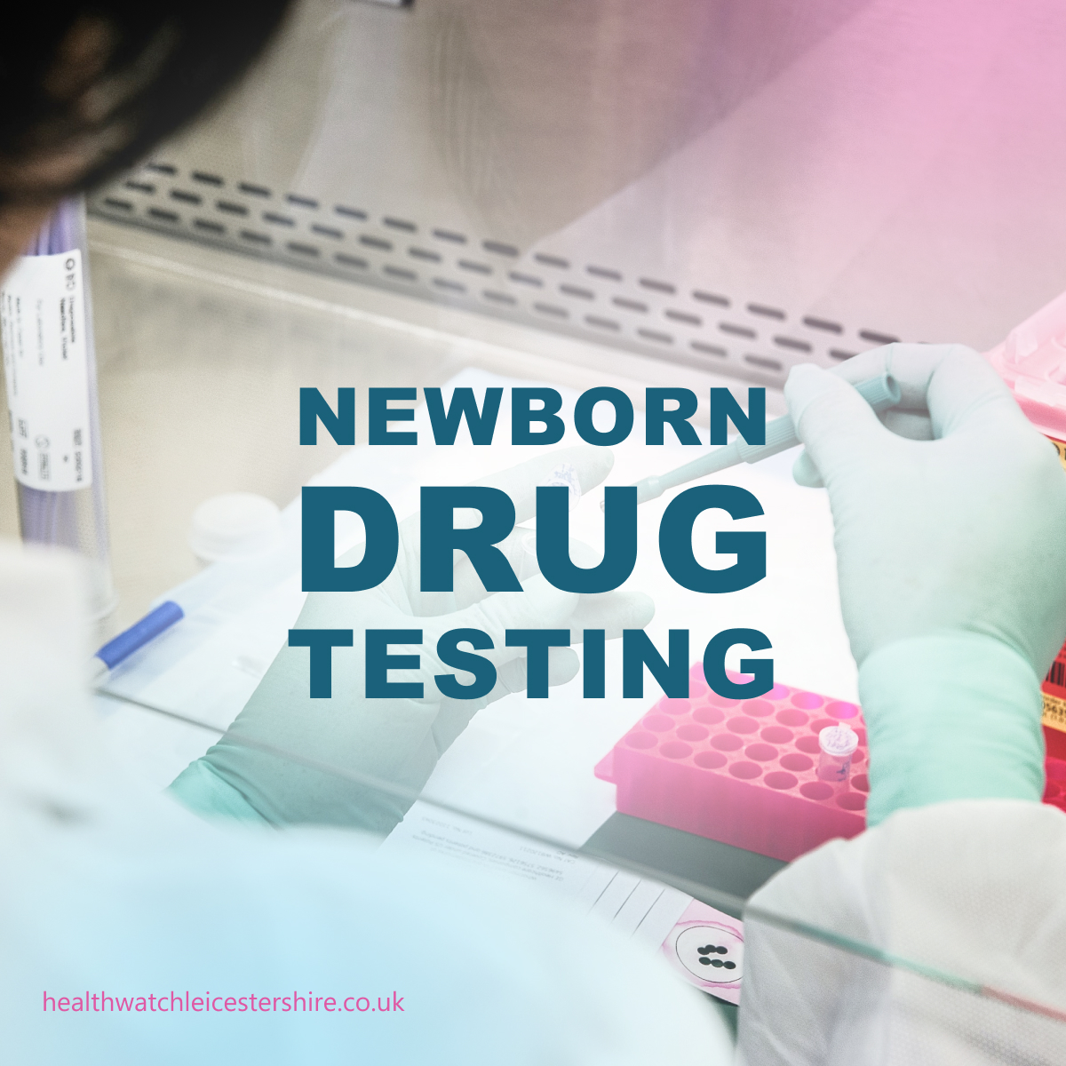 Newborn Drug Testing